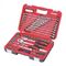 SOCKET SET, METRIC/AF 1/4 & 1/2in DRIVE, 79PCE