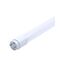 GLOBE LED T8 TUBE 18W 3000K 5FT Plastic 1620 Lm