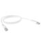 CERTECH Cat6 24AWG U/UTP RJ45 Patch Lead, 1.5m, White PVC Jacket