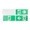 Stanilite Emergency Diffuser Mount Quickfit 10W Picto Straight