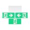 Stanilite Emergency Diffuser Mount Quickfit CCFL Picto Straight