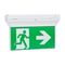 Stanilite Single Point Platinum Exit Lighting LED Edgelit Quickfit Dali Pictograph