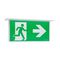 Stanilite Nexus LX Platinum Exit Lighting LED Edgelit Recessed Pictograph