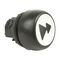 Allen-Bradley 800FC Pushbutton 2-Speed White Horizontal Forward