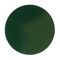 Austrol N100 Insert Blank for NT Operators 30.5mm Green