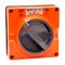 NHP ISO Surface Switch, 2 Pole 10A 250V AC, w/o Base, Resistant Orange