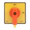Sprecher and Schuh L2 Cam Switch Knob Padlockable 48 x 48mm Red