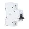 NHP DIN-T Miniature Circuit Breaker 10H 1Pole 100A C Curve
