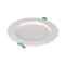 20/40W Tricolour Downlight (200mm)
