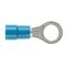 PRE-INSULATED RING TERMINAL (1.0-2.6MM CABLE) BLUE 6MM STUD DOUBLE GRIP