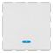 2-Way Push Button Switch 6A 250V | Blue LED | White Finish by Legrand
