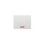 Switch Mechanism 10A 240V | Neon Indicator | Vertical White by Legrand