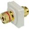 Speaker Binding Post for Wall Plates | Red | AV Installation by Certech