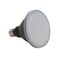 KEY PAR30-12 E27 Dimmable Frosted Led Globe