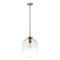 FLAUNT GLASS PENDANT 240V E27 SATIN BRASS