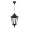 GT-485 Turin Large Pendant Light - Powder Coated Finish / B22