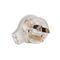 Side Entry Plug 10A | Rewireable | Flat Earth Pin | White Clear by Transco