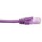 Cat6 Purple Patch Lead | 10 Metre | 4 Pair PVC Unshielded | RJ45 by Cabac
