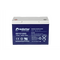 12V Sealed Lead Acid Battery | 100Ah Capacity | Maintenance-Free Design | Robust Construction by Firebox
