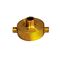 Brass Fire Hose Adaptor | 65mm Female NSW Thread | 25mm BSP Male | Durable Construction by Firebox