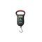 IP65 Digital Scale | 50kg Capacity | Waterproof & Dustproof | Battery Operated by Firebox