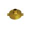 Brass Hose Adaptor 65mm Female QRT to 25mm BSP | Durable & Corrosion Resistant | Firefighting Applications by Firebox