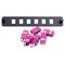 Flat Coupler Panel Kit 12F | Includes Thru Adaptor | OM4 Compatible | Easy Installation by BrandName