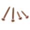 Bugle Head Screws 7G x 25mm | Ideal for Wood & Drywall | Corrosion-Resistant by Unbranded