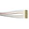 Fibre OM4 50um 12-Fibre LC Pigtails | 900um | High Performance & Reliable Connectivity by MSS
