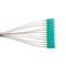 Fibre Pigtails OM3 50um 12-Fibre SC | 900um | High Performance | 12 Pack by MSS