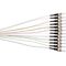 Fibre Pigtails OM3 50um 12-Fibre ST | 900um | High Performance & Durable by MSS