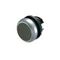 Momentary Pushbutton Switch | Black Button & Titanium Bezel | RMQ-Titan Series by Eaton