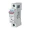 Miniature Circuit Breaker 32A | 10 kA Switching Capacity | IP20 Protection | Eaton