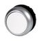 M22 Flat Momentary Pushbutton | White Button | Titanium Bezel | RMQ-Titan by Eaton