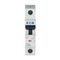 Miniature Circuit Breaker 50A | Single-Pole | IP40 Protection | Eaton