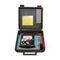 Analogue Insulation Tester | 250V to 1000V Range | Continuity Buzzer & Backlight | CAT III 300V by Eaton