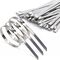 Stainless Steel Cable Tie 520mm | Heavy Duty | Corrosion Resistant | 100 Pack by Tuff