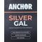 Galvanised Steel Touch-Up Paint | Heat Resistant Up to 300°C | Fast Drying & Corrosion Protection | Silver by CW Brands