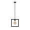 COLLINS 1 LIGHT PENDANT