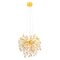 MOLENA 5 LIGHT PENDANT