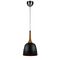 POLK 20 PENDANT