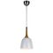 POLK 20 PENDANT