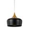 POLK 30 PENDANT