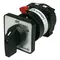 Cam Switch Door Mount 2 Position With Off (OFF, ON) Maintained