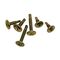 Washer Head Screw 25mm x 8G
