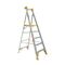 Aluminium Platform Ladder 1.5m | 180kg Load Capacity | Heavy Duty Design & Handrail Safety | by Gorilla Hartman