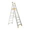Aluminium Platform Ladder 2.4m | 180kg Load Capacity | Heavy Duty Design & Safety Handrail | Gorilla Hartman