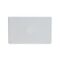 Blank Plate - White