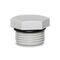 Blind Plug Nylon M20 Hexagon Head Light Grey