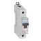 MCB DX3 10000A 1 pole 50A curve C
